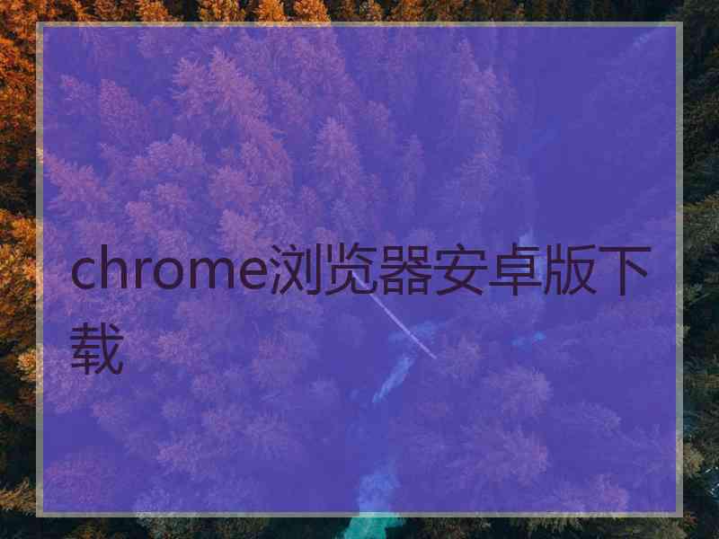 chrome浏览器安卓版下载