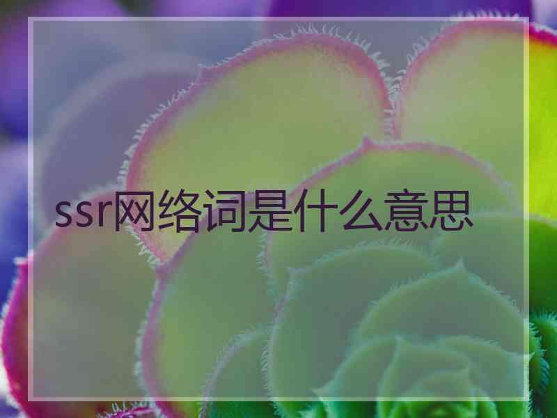 ssr网络词是什么意思