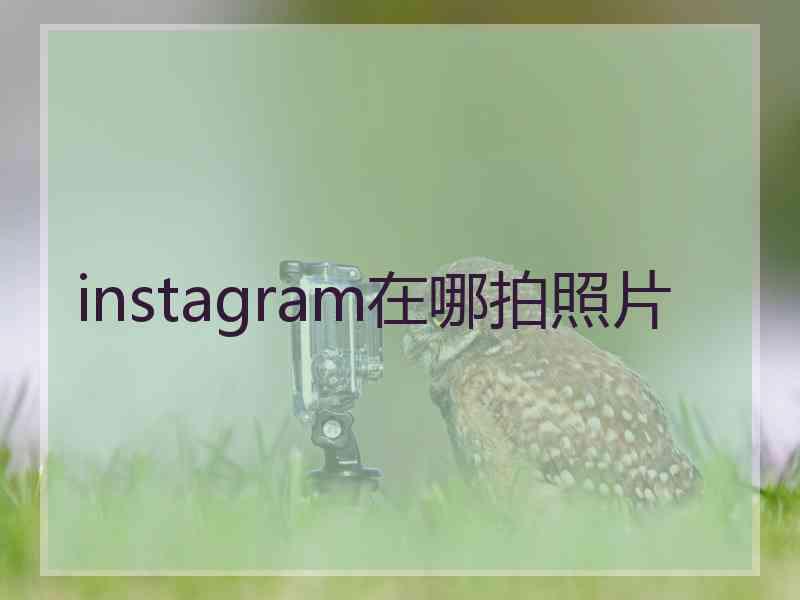 instagram在哪拍照片