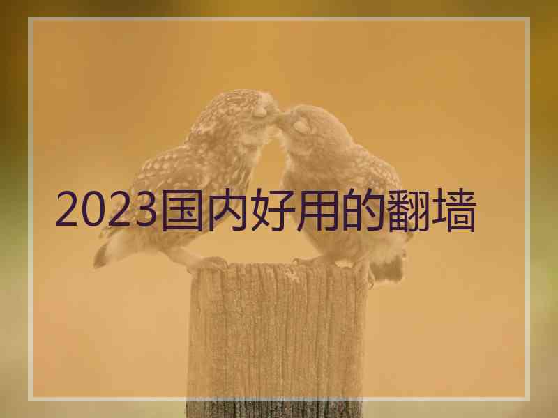 2023国内好用的翻墙