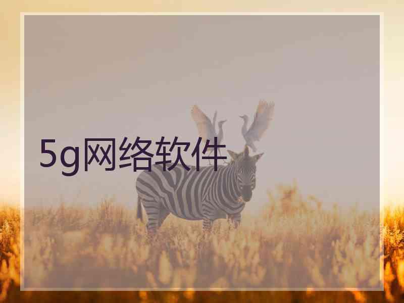 5g网络软件