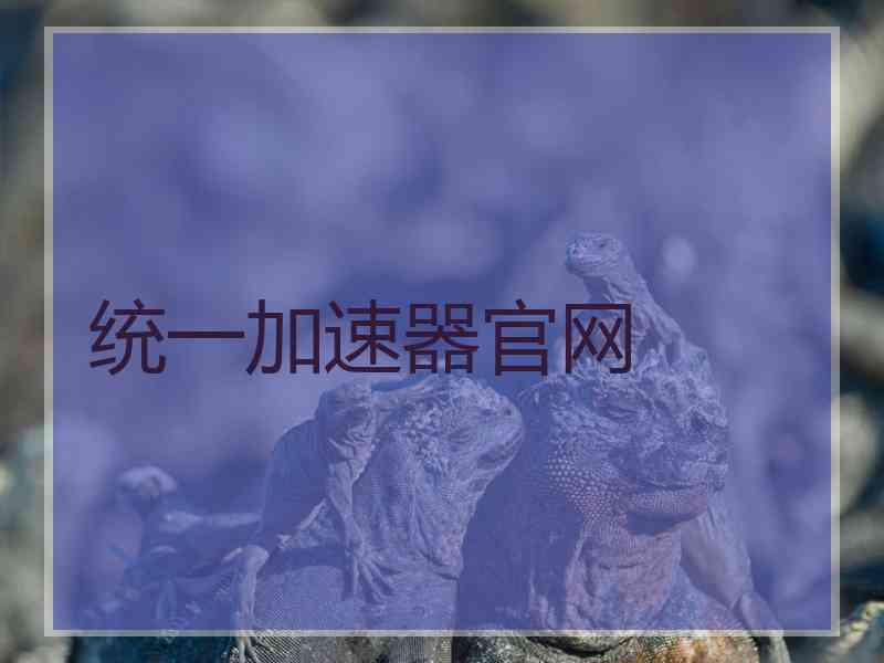 统一加速器官网