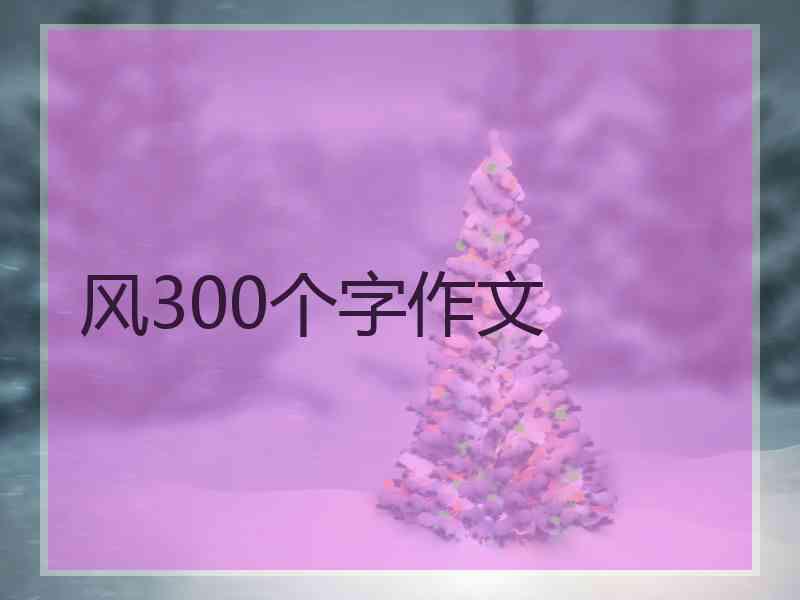 风300个字作文