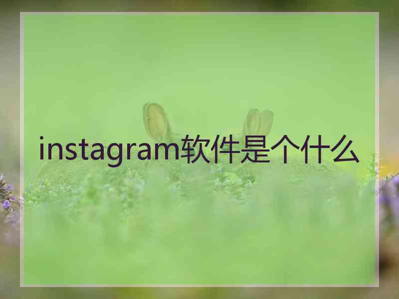 instagram软件是个什么