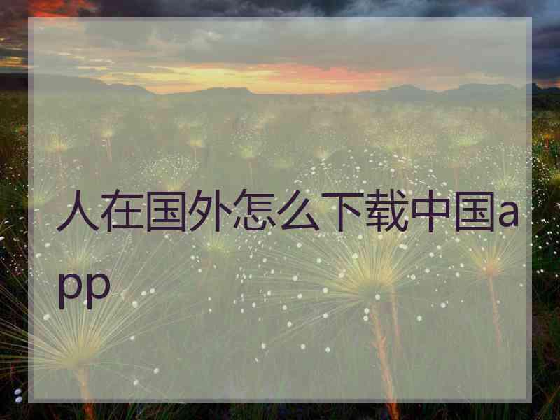 人在国外怎么下载中国app