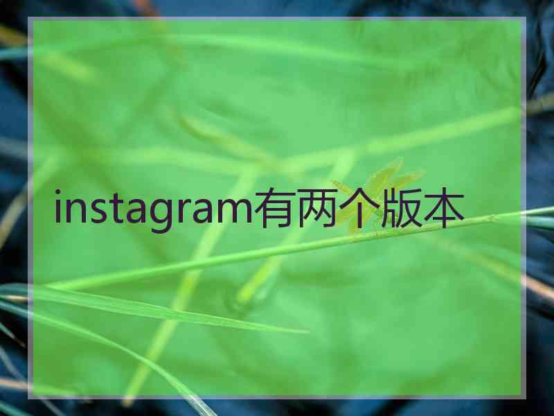 instagram有两个版本