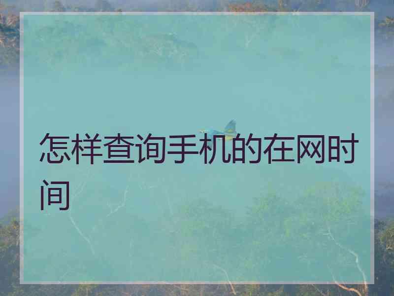 怎样查询手机的在网时间