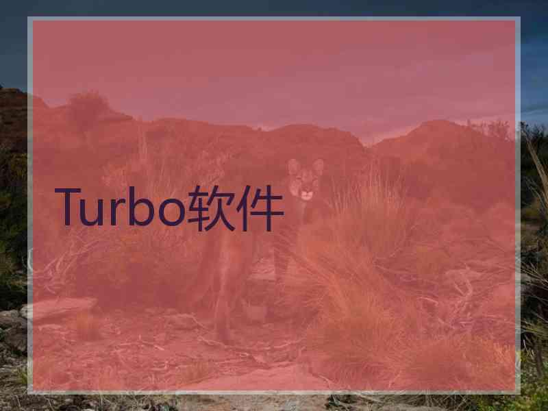 Turbo软件