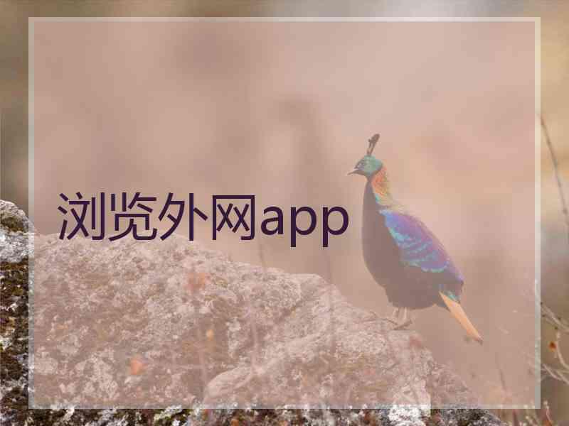 浏览外网app