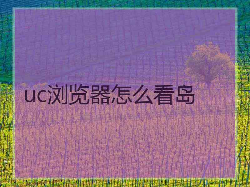 uc浏览器怎么看岛