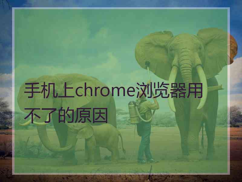 手机上chrome浏览器用不了的原因