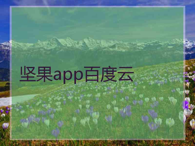 坚果app百度云